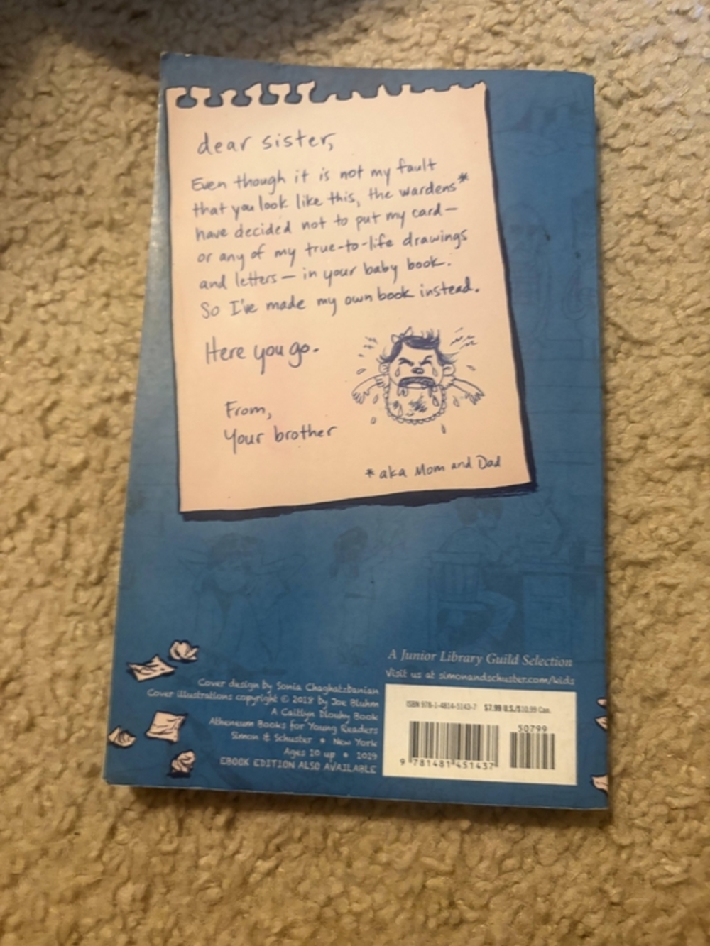 Dear Baby Sister By Alison McGhee